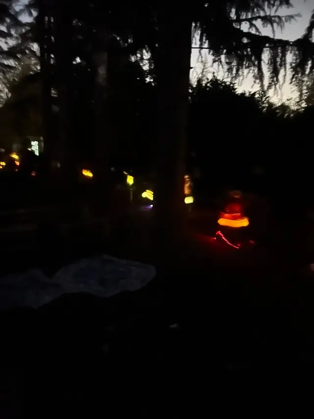 Il bosco di notte, con la luce calda delle lanterne in lontananza tra gli alberi